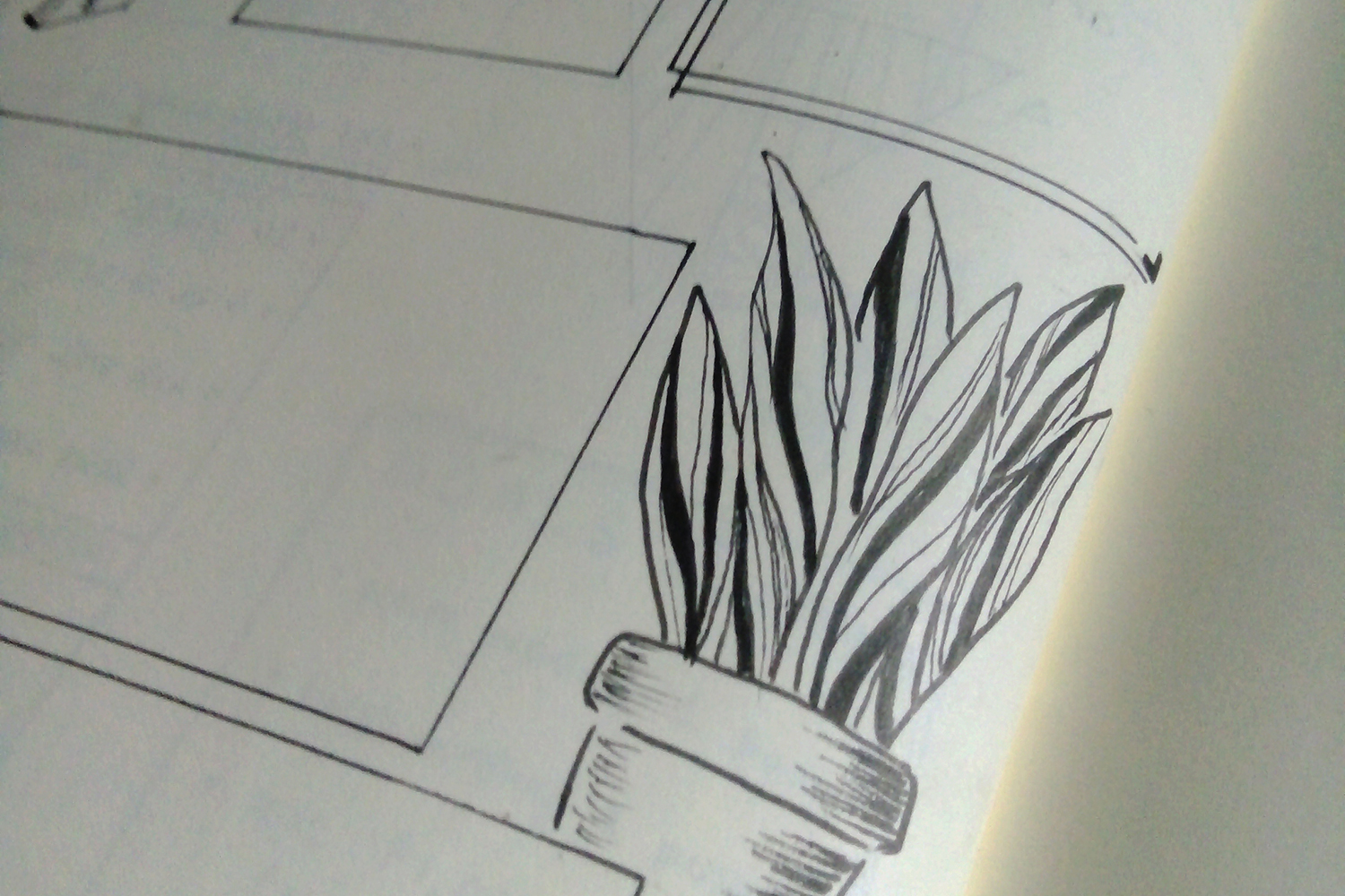 A closeup look of a black and white plant lineart in my bullet journal page