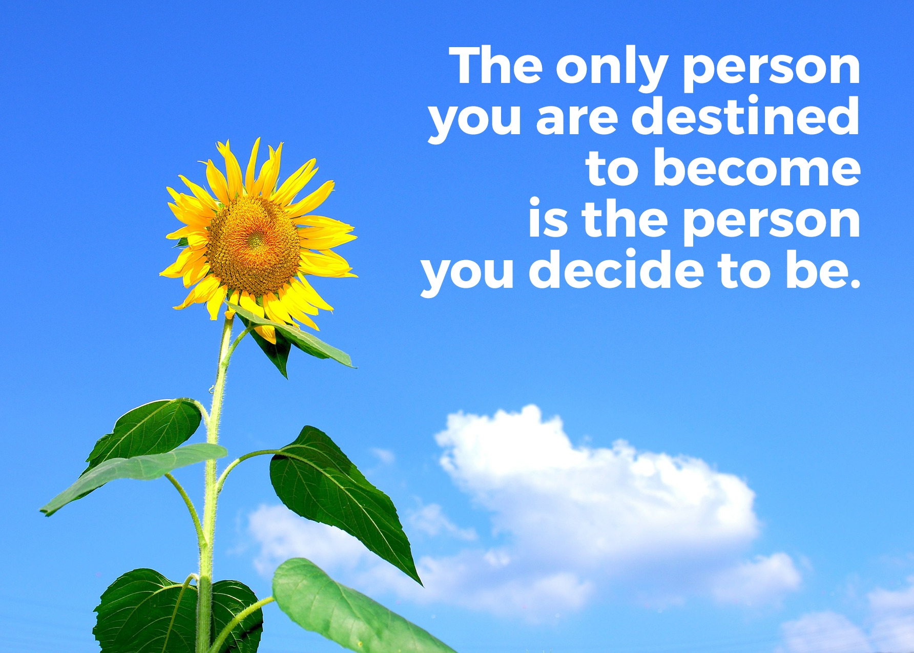 3 SelfLove and Inspiring Quotes by Ralph Waldo Emerson all the trinkets